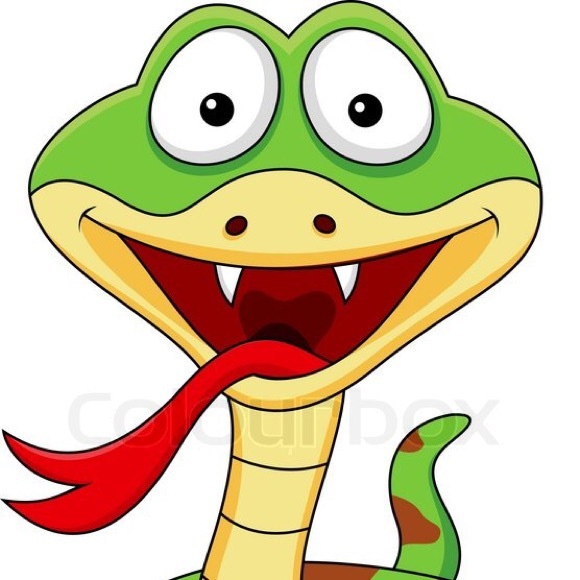 Meet your Posher, Gustavo - Picture 1 of 1